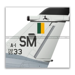 AMX INTERNACIONAL A-1, FAB 5533, 3º/10º GAV - Art In Profiles - Os melhores Posters de Aviação