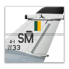 AMX INTERNACIONAL A-1, FAB 5533, 3º/10º GAV - Art In Profiles - Os melhores Posters de Aviação