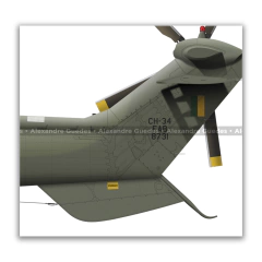 AEROSPATIALE CH-34 SUPER PUMA, FAB 8731, 3º/8º GAV - Art In Profiles - Os melhores Posters de Aviação