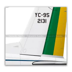EMBRAER YC-95 BANDEIRANTE, FAB 2131, CTA - Art In Profiles - Os melhores Posters de Aviação