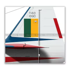NORTH AMERICAN T-6D, FAB 1390, ESQUADRILHA DFUMAÇA - Art In Profiles - Os melhores Posters de Aviação