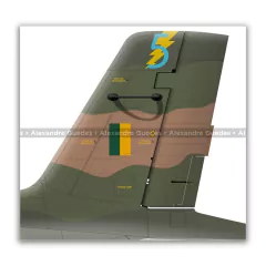 AERMACCHI/EMBRAER, AT-26 XAVANTE, FAB 4554, 5º - Art In Profiles - Os melhores Posters de Aviação
