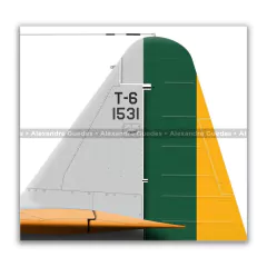 NORTH AMERICAN AT-6D, FAB 1531, ERA 51 - Art In Profiles - Os melhores Posters de Aviação