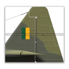 NORTH AMERICAN AT-6D, FAB 1543, ERA 42 - Art In Profiles - Os melhores Posters de Aviação