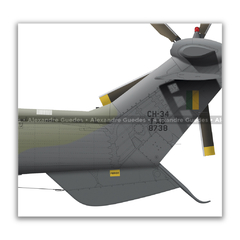 AEROSPATIALE CH-34 SUPER PUMA, FAB 8738, 3º/8º GAV - Art In Profiles - Os melhores Posters de Aviação