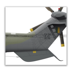 AEROSPATIALE CH-34 SUPER PUMA, FAB 8738, 3º/8º GAV - Art In Profiles - Os melhores Posters de Aviação