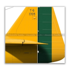 NORTH AMERICAN T-6, FAB 1703, 2ª ELO - Art In Profiles - Os melhores Posters de Aviação