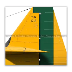 NORTH AMERICAN T-6, FAB 1712, 2ª ELO - Art In Profiles - Os melhores Posters de Aviação