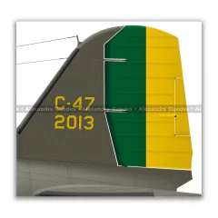 DOUGLAS C-47A SKYTRAIN, FAB 2013 - Art In Profiles - Os melhores Posters de Aviação
