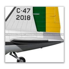 DOUGLAS C-47A SKYTRAIN, FAB 2018 - Art In Profiles - Os melhores Posters de Aviação