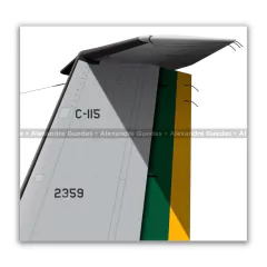 DE HAVILLAND CANADA C-115 BÚFALO, FAB 2359 - Art In Profiles - Os melhores Posters de Aviação