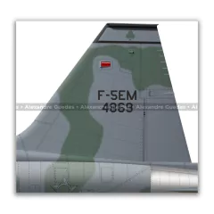 NORTHROP F-5EM TIGER II, FAB 4869, 1º/4º GAV - Art In Profiles - Posters e Livros sobre Aviação