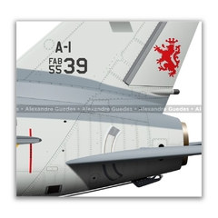AMX INTERNACIONAL A-1, FAB 5539, 1º/10º GAV - Art In Profiles - Os melhores Posters de Aviação