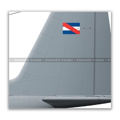 LOCKHEED HERCULES C-130B, FAU 592 - Art In Profiles - Os melhores Posters de Aviação