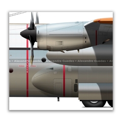 LOCKHEED HERCULES C-130E, FAB 2450 - Art In Profiles - Os melhores Posters de Aviação