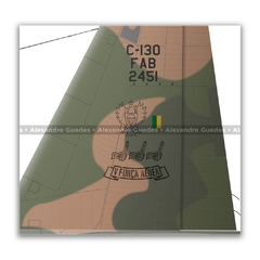 LOCKHEED HERCULES C-130E, FAB 2451 - Art In Profiles - Os melhores Posters de Aviação