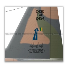 LOCKHEED HERCULES C-130E, FAB 2454 - Art In Profiles - Os melhores Posters de Aviação
