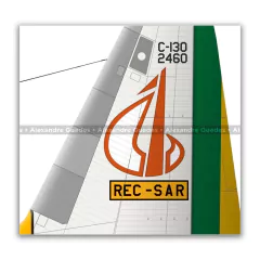 LOCKHEED HERCULES C-130E, FAB 2460 - Art In Profiles - Os melhores Posters de Aviação