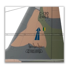 LOCKHEED HERCULES C-130H, FAB 2463 - Art In Profiles - Os melhores Posters de Aviação