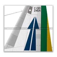 LOCKHEED HERCULES C-130H, FAB 2464 - Art In Profiles - Os melhores Posters de Aviação