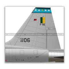NORTHROP F-5F TIGER II, FAB 4806, 1º/14º GAV - Art In Profiles - Os melhores Posters de Aviação