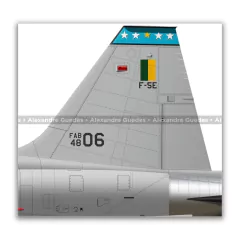 NORTHROP F-5F TIGER II, FAB 4806, 1º/14º GAV - Art In Profiles - Os melhores Posters de Aviação