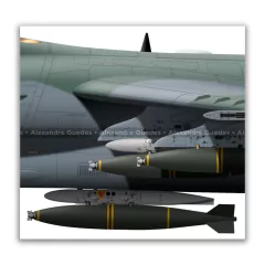 AMX INTERNACIONAL A-1A, FAB 5528, 1º/16º GAV - Art In Profiles - Os melhores Posters de Aviação