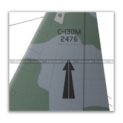 LOCKHEED HERCULES C-130M, FAB 2476 - Art In Profiles - Os melhores Posters de Aviação