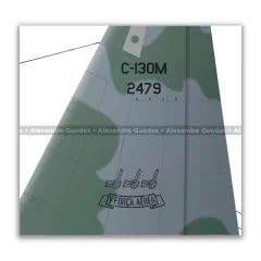 LOCKHEED HERCULES C-130M, FAB 2479 - Art In Profiles - Os melhores Posters de Aviação