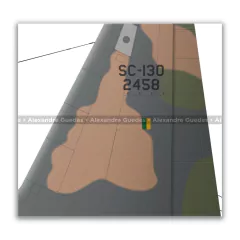 LOCKHEED HERCULES SC-130E, FAB 2458 - Art In Profiles - Os melhores Posters de Aviação