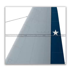 LOCKHEED HERCULES C-130H, FAC 996 - Art In Profiles - Os melhores Posters de Aviação