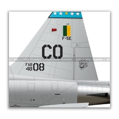 NORTHROP F-5F TIGER II, FAB 4808, 1º/14º GAV - Art In Profiles - Os melhores Posters de Aviação