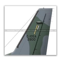 EADS C-105A AMAZONAS, FAB 2800, 1º/9º GAV - Art In Profiles - Os melhores Posters de Aviação