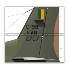 CESSNA C-98 CARAVAN, FAB 2707, BABV - Art In Profiles - Os melhores Posters de Aviação