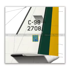 CESSNA C-98 CARAVAN, FAB 2708, CINDACTA II - Art In Profiles - Os melhores Posters de Aviação
