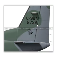 CESSNA C-98A GRAND CARAVAN, FAB 2732, 2º ETA - Art In Profiles - Os melhores Posters de Aviação