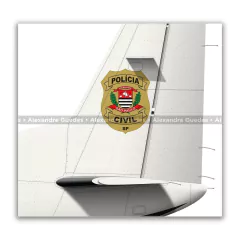 CESSNA 208B GRAND CARAVAN, PT-MEN, PCSP - Art In Profiles - Os melhores Posters de Aviação