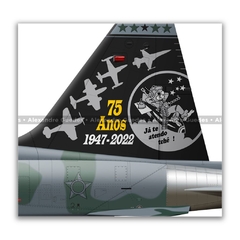 NORTHROP F-5FM TIGER II, FAB 4810, 1º/14º GAV - Art In Profiles - Os melhores Posters de Aviação
