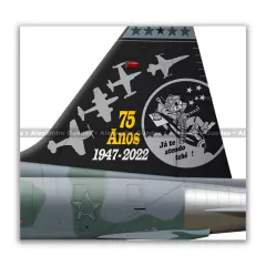 NORTHROP F-5FM TIGER II, FAB 4810, 1º/14º GAV - Art In Profiles - Os melhores Posters de Aviação