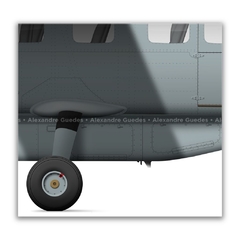 CESSNA 208B GRAND CARAVAN, PR-AAC, PF - Art In Profiles - Os melhores Posters de Aviação