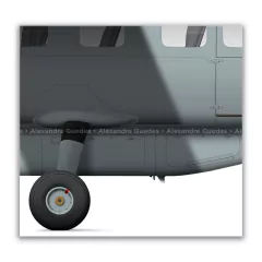CESSNA 208B GRAND CARAVAN, PR-AAC, PF - Art In Profiles - Os melhores Posters de Aviação