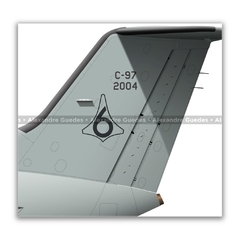 EMBRAER C-97 BRASÍLIA, FAB 2004, 6º ETA - Art In Profiles - Os melhores Posters de Aviação