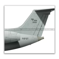 EMBRAER C-99A, FAB 2520, 1º/2º GT - Art In Profiles - Os melhores Posters de Aviação