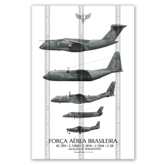 AERONAVES DE TRANSPORTE DA FORÇA AÉREA BRASILEIRA • 01