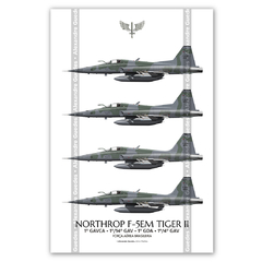 AERONAVES NORTHROP F-5E/M TIGER II • 1 GAVCA - 1/14 GAV - 1 GDA - 1/4 GAV • FAB.