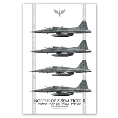 AERONAVE NORTHROP F-5E/M TIGER II • 1 GAVCA - 1/14 GAV - 1 GDA - 1/4 GAV • FAB.