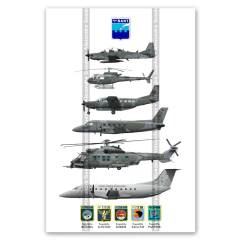 BANT 2025 Poster: A Tribute to the Air Force in Natal - buy online