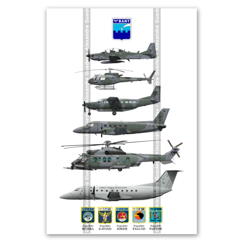 BANT 2025 Poster: A Tribute to the Air Force in Natal - buy online