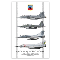 AERONAVES HISTÓRICAS DEL 1 GDA - ESCUADRÓN JAGUAR • FAB