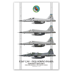 AERONAVES NORTHROP F-5E/M TIGER II • 1/14 GAV - ESQUADRÃO PAMPA • FAB